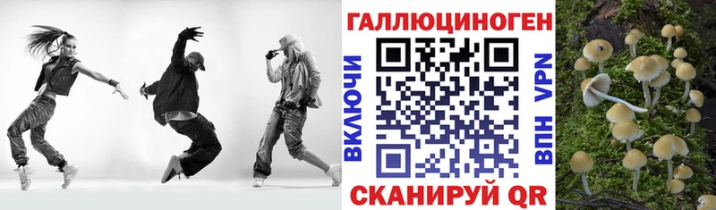 Галлюциногенные грибы Cubensis  дарк нет какой сайт  Михайловка  дарнет шоп 